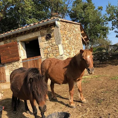 Domaine De L Astic Сasa de vacaciones