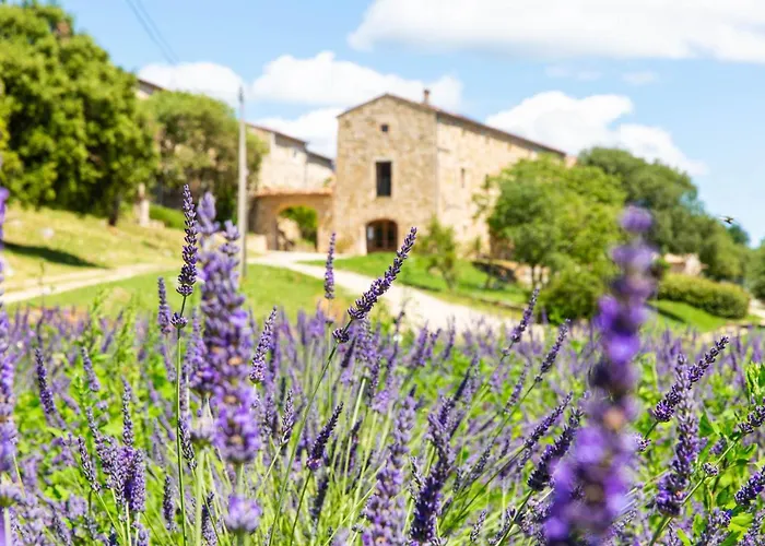 Vakantiehuis Domaine De L Astic Vallon-Pont-dʼArc